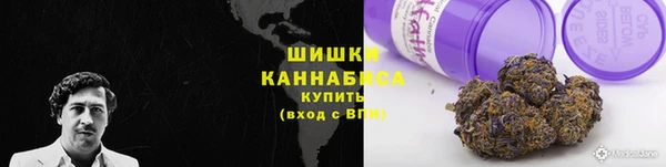 амф Щучье